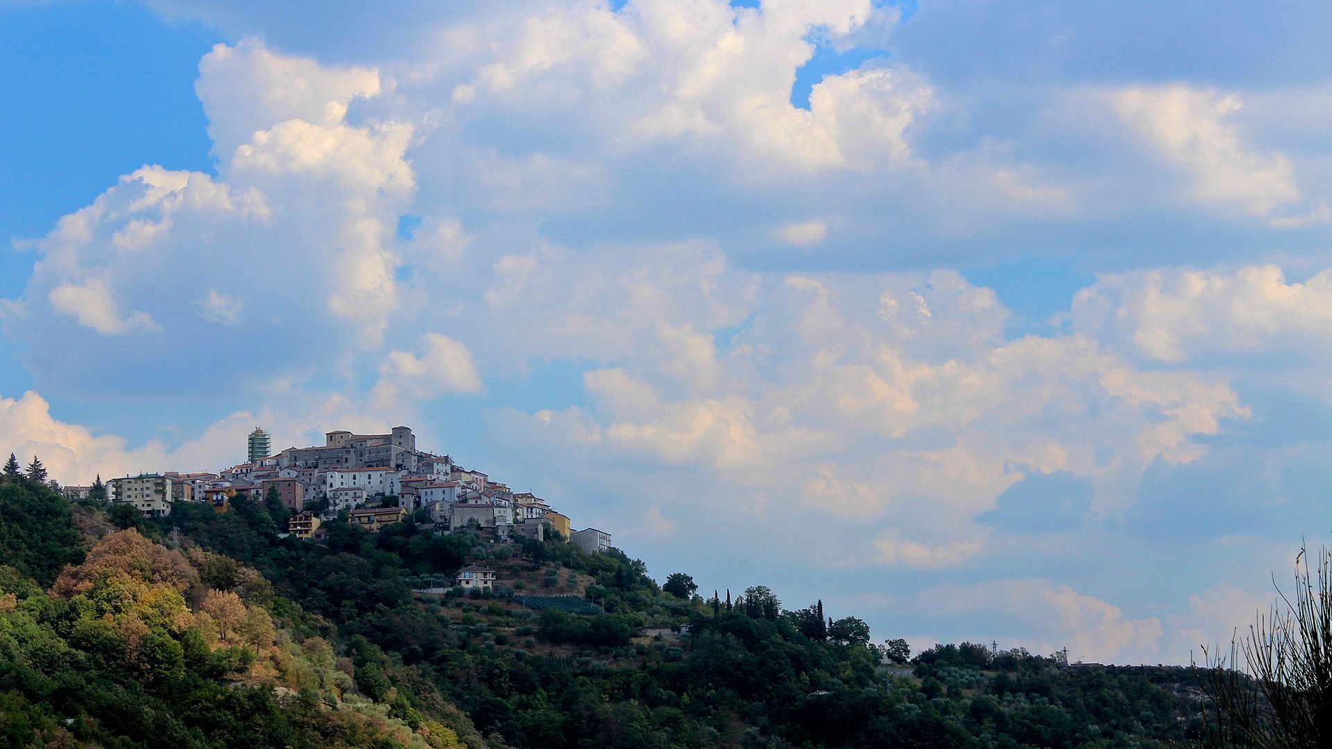 Savoia di Lucania